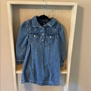Baby Gap Denim Dress